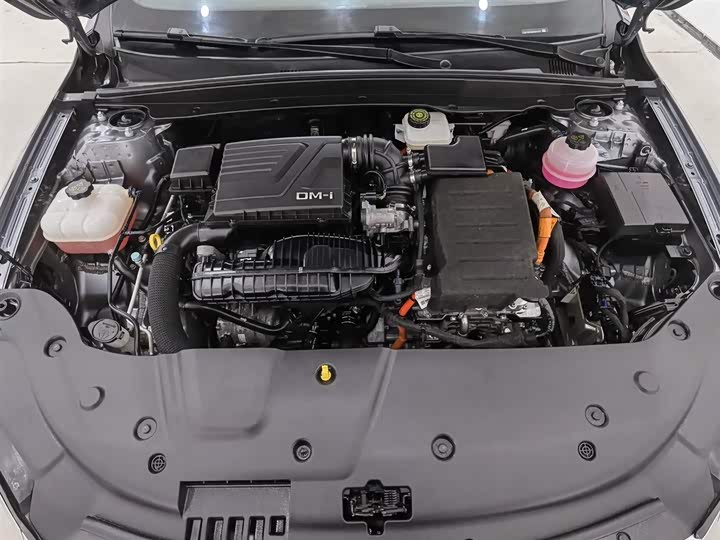 Фото 6 - BYD Qin Plus