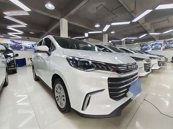 Фото 3 - Maxus G50