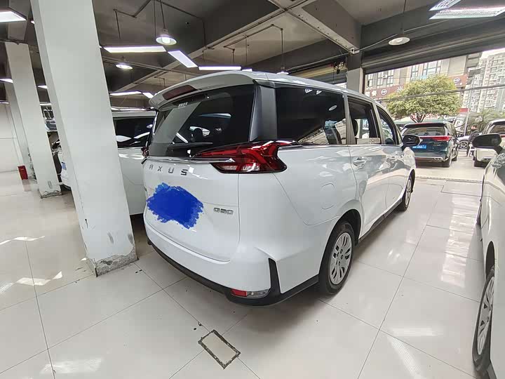 Фото 4 - Maxus G50