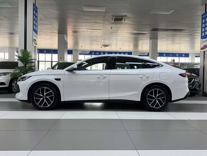 Фото 5 - BYD Qin L