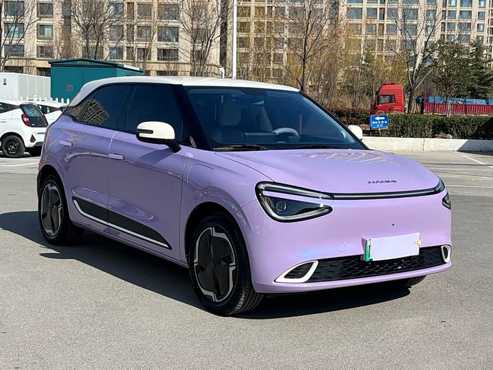 Photo 8 - Dongfeng Yipai 01