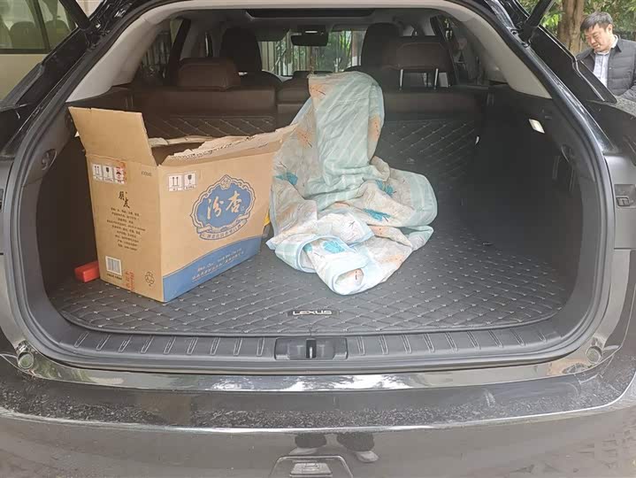 Фото 4 - Lexus RX