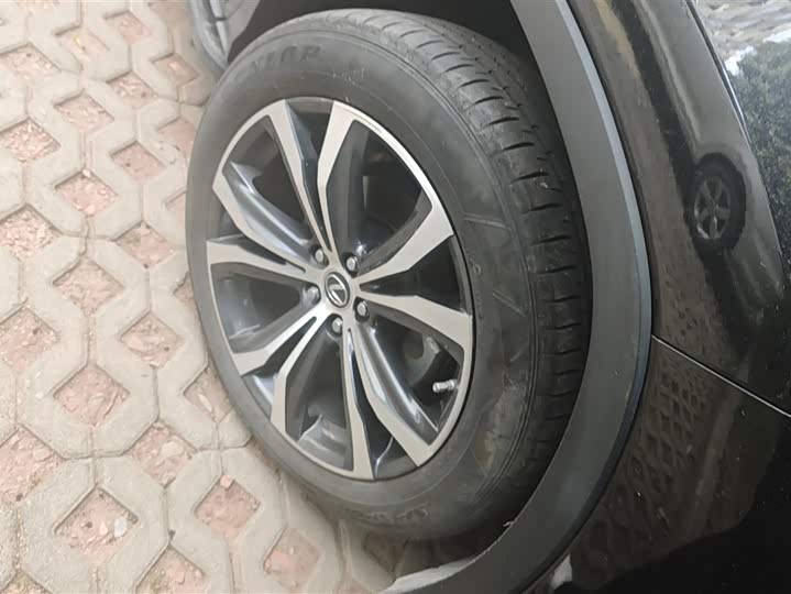 Фото 6 - Lexus RX