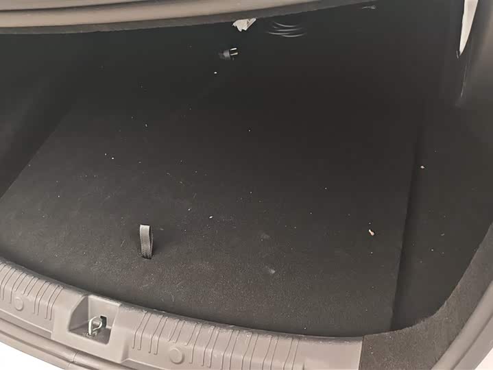 Фото 4 - BYD Qin L