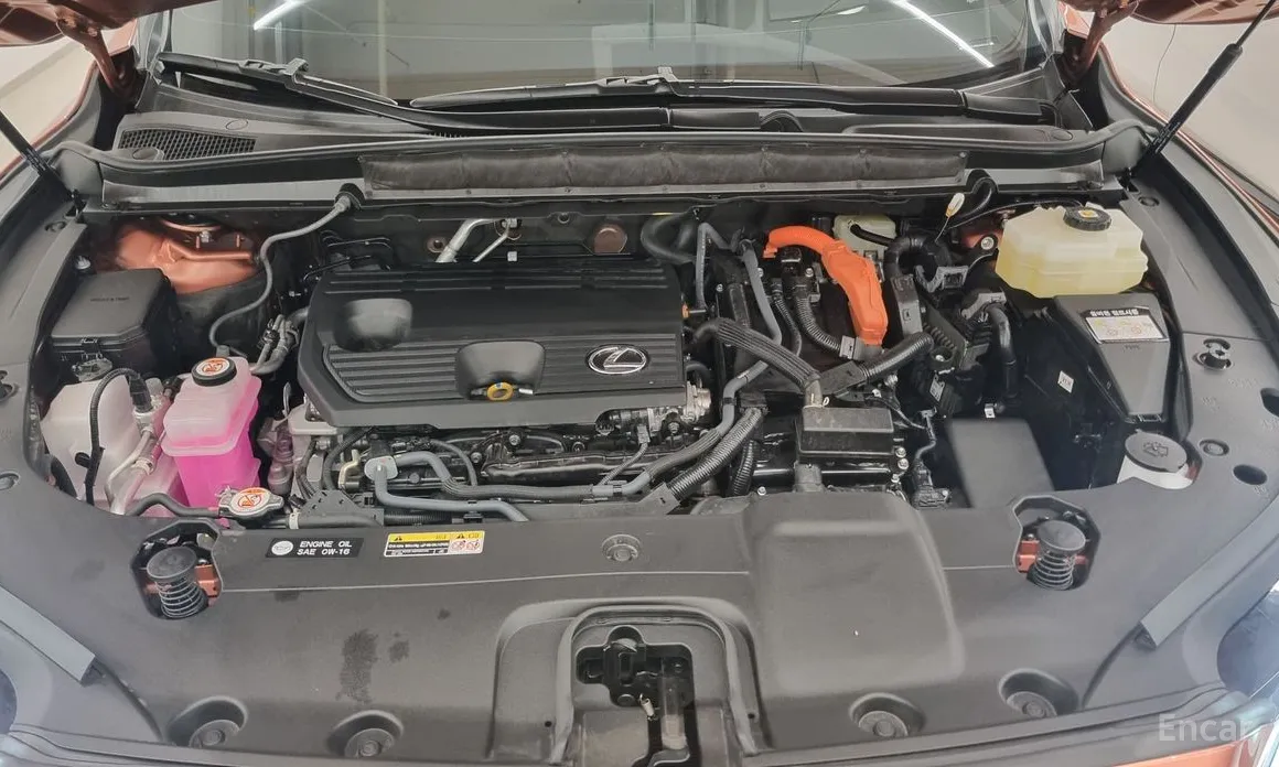 Фото 6 - Lexus RX