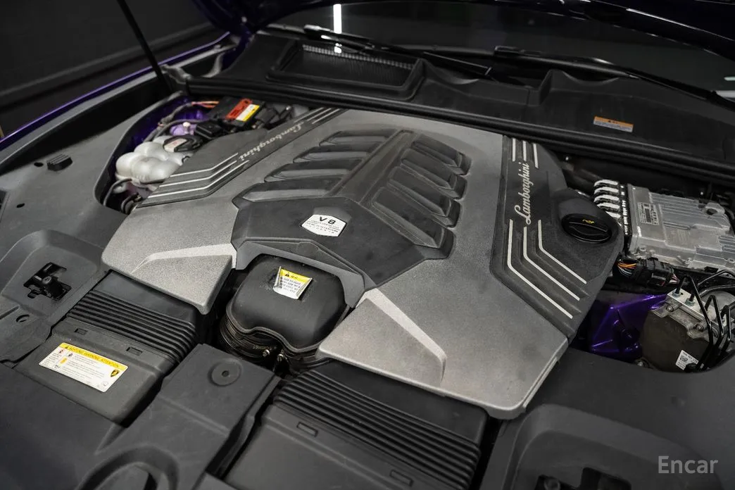 Фото 5 - Lamborghini Urus