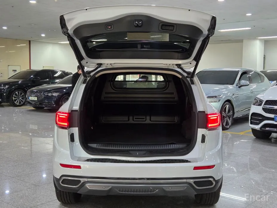 Фото 19 - Renault QM6