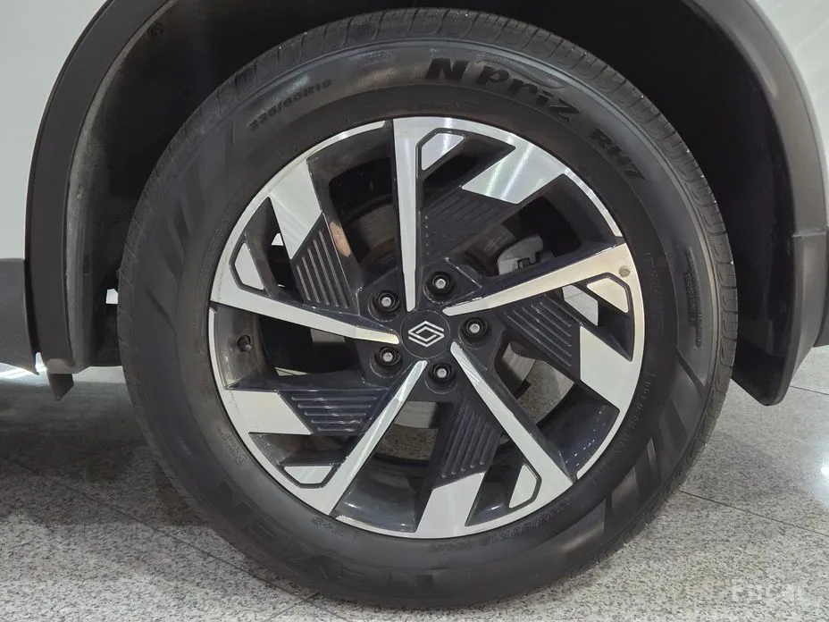 Фото 20 - Renault QM6