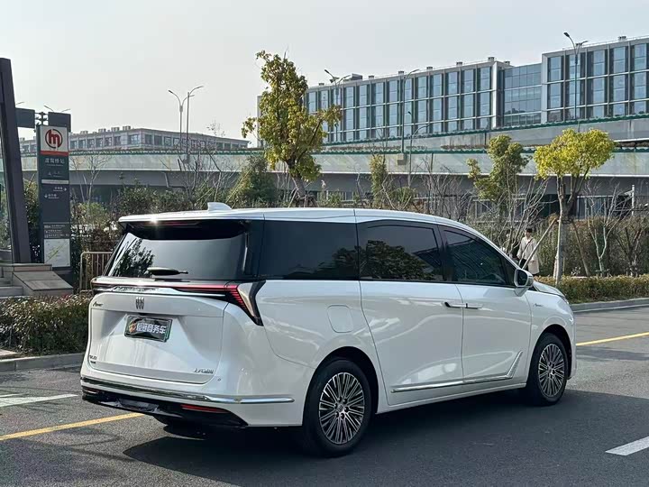 Фото 6 - Buick GL8 Hybrid