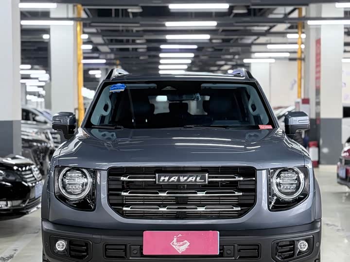 Фото 2 - Haval Dargo