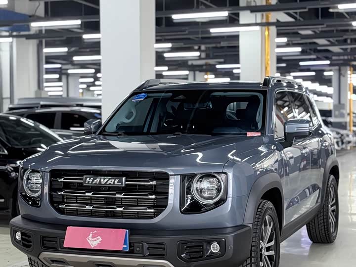 Фото 3 - Haval Dargo