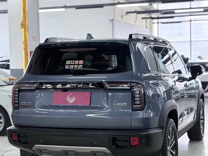 Фото 7 - Haval Dargo