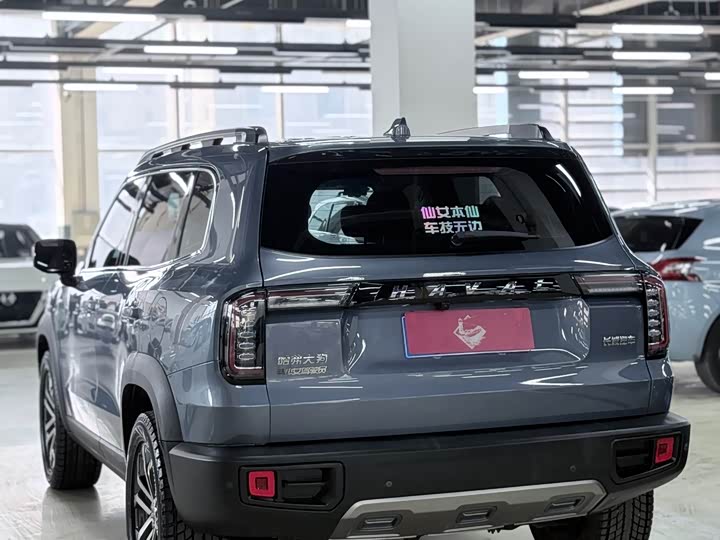 Фото 9 - Haval Dargo