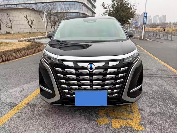 Фото 2 - Denza D9