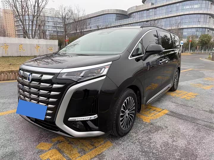 Фото 3 - Denza D9