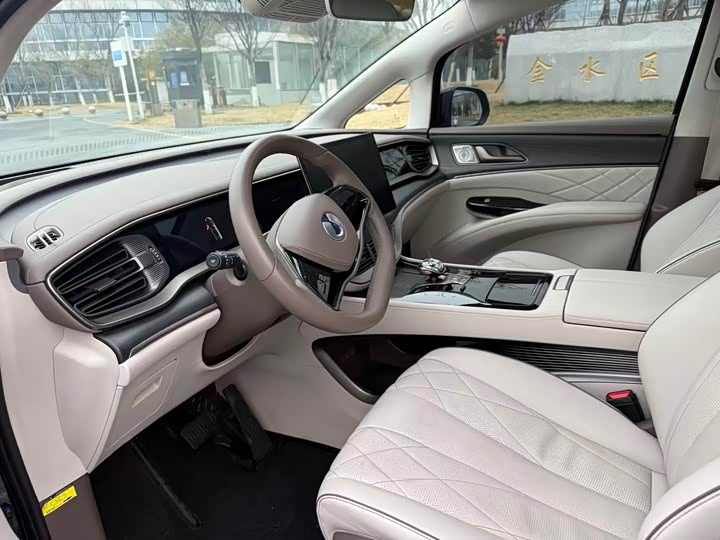 Фото 4 - Denza D9