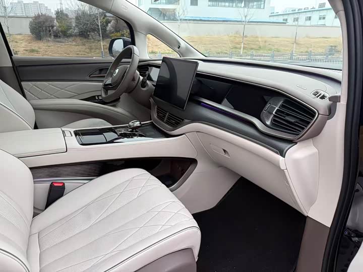 Фото 6 - Denza D9