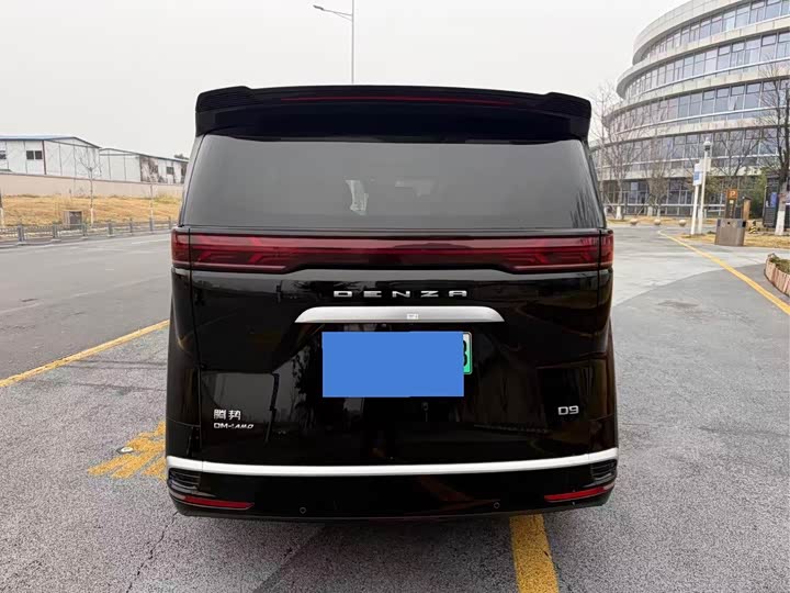 Фото 8 - Denza D9