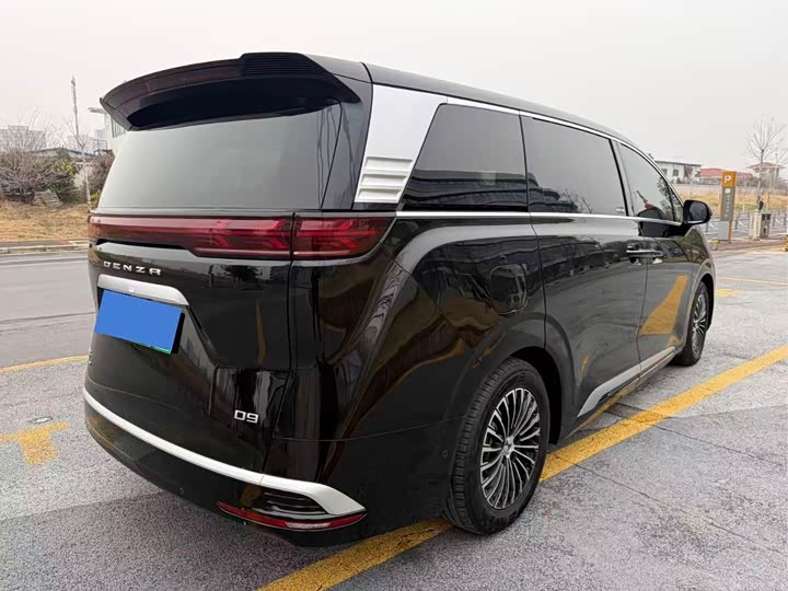 Фото 9 - Denza D9