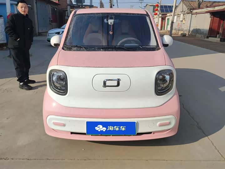 Photo 2 - Bestune Pony