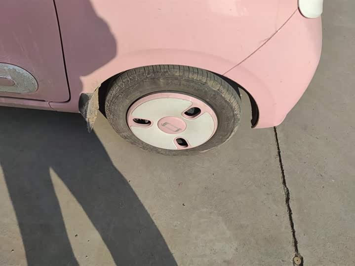 Photo 6 - Bestune Pony