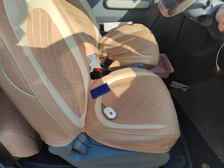 Photo 8 - Bestune Pony