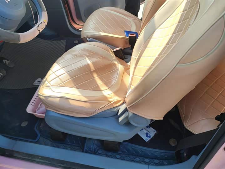 Photo 9 - Bestune Pony