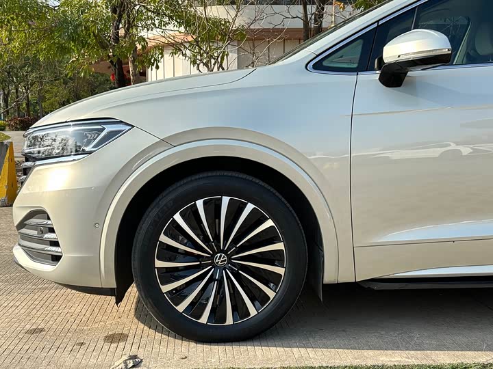 Фото 5 - Volkswagen Viloran