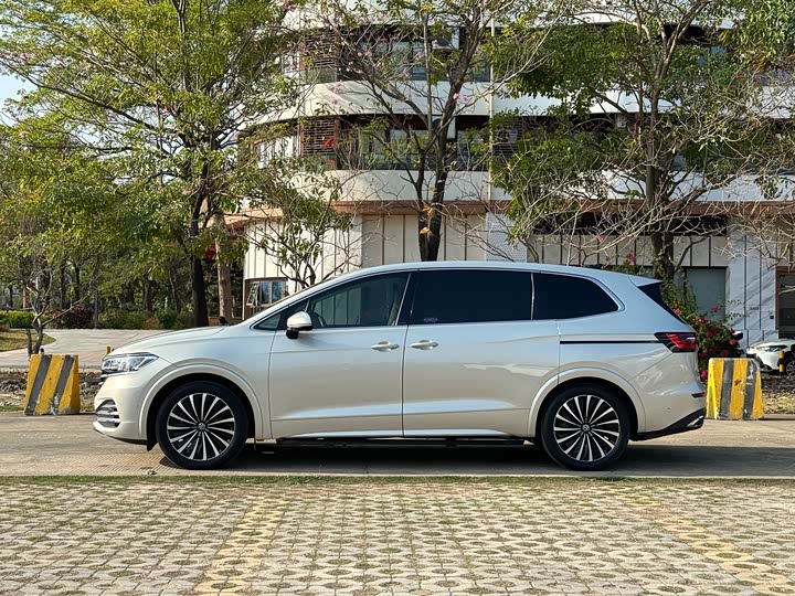 Фото 6 - Volkswagen Viloran