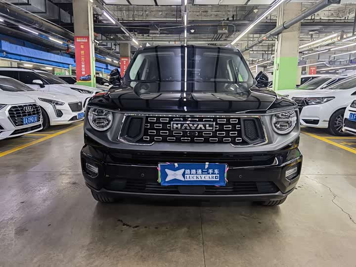 Фото 2 - Haval H-Dog Hybrid