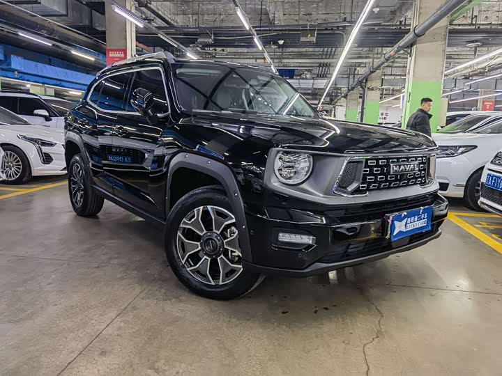 Фото 3 - Haval H-Dog Hybrid