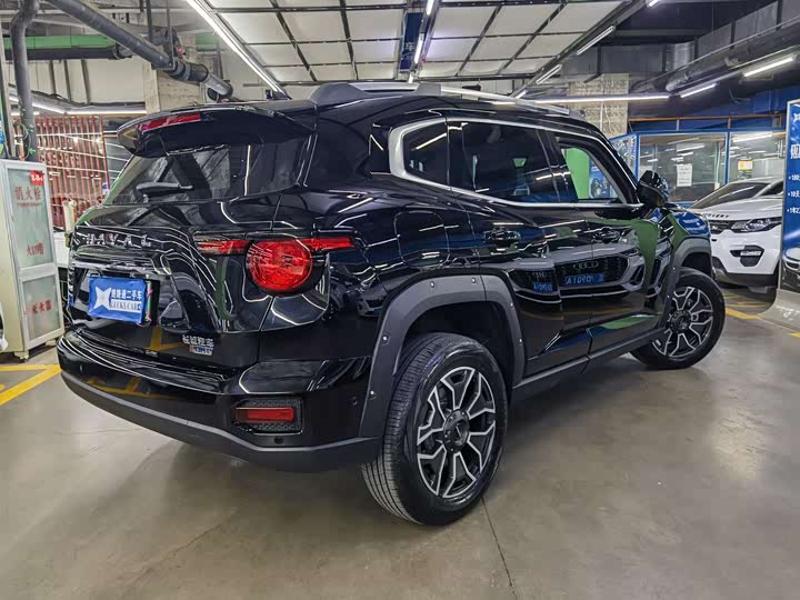 Фото 4 - Haval H-Dog Hybrid