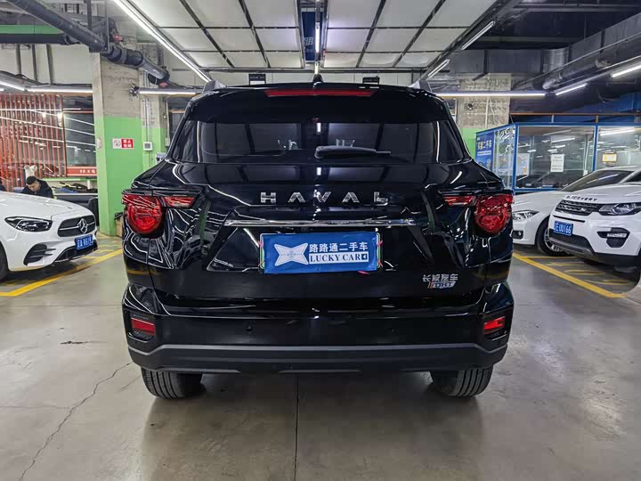 Фото 5 - Haval H-Dog Hybrid