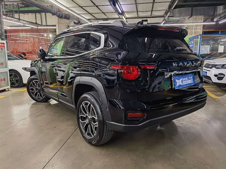 Фото 6 - Haval H-Dog Hybrid