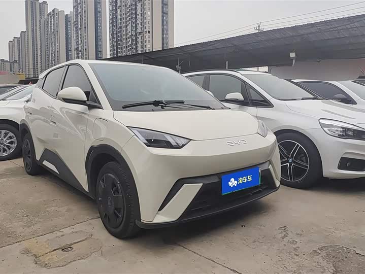 Фото 1 - BYD Seagull