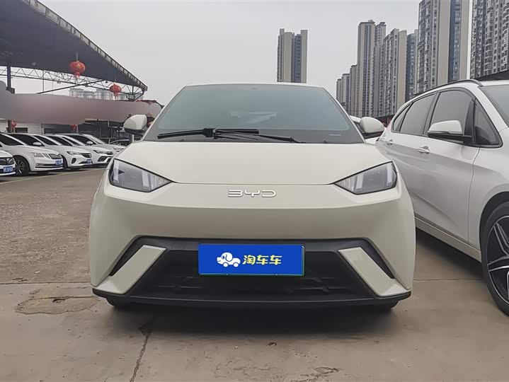 Фото 2 - BYD Seagull