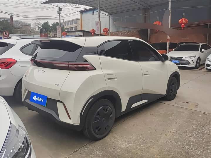 Фото 3 - BYD Seagull