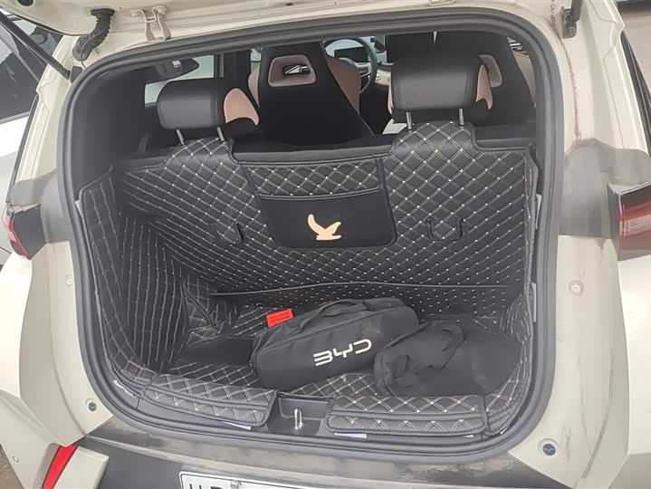 Фото 4 - BYD Seagull