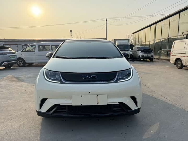 Фото 2 - BYD Dolphin