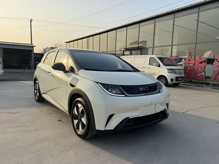 Фото 3 - BYD Dolphin