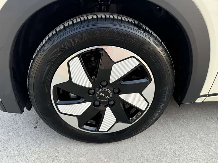 Фото 4 - BYD Dolphin