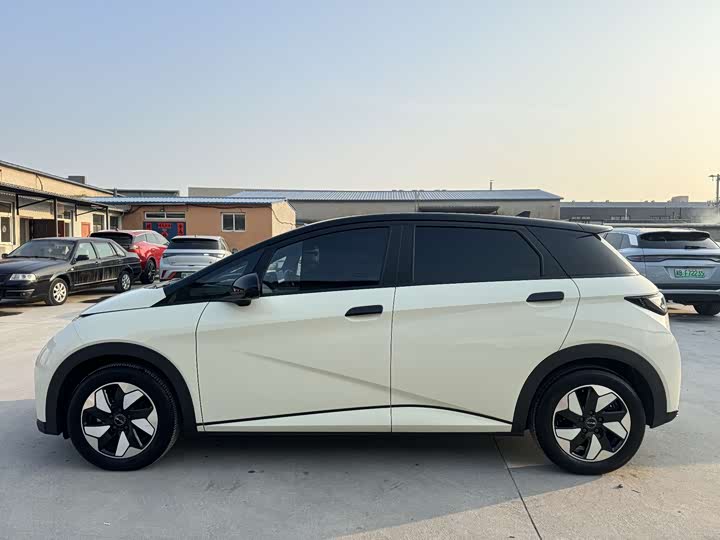 Фото 5 - BYD Dolphin