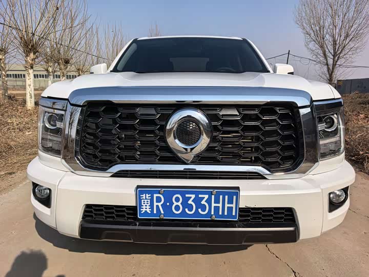 Фото 2 - Great Wall King Kong Poer