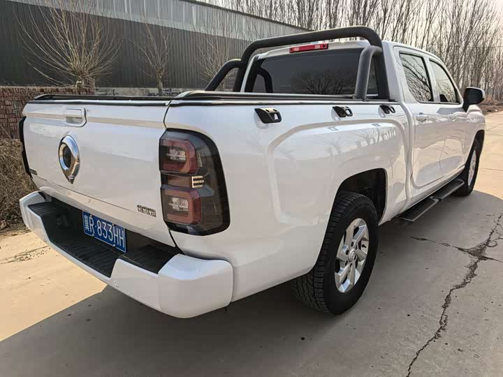 Фото 4 - Great Wall King Kong Poer