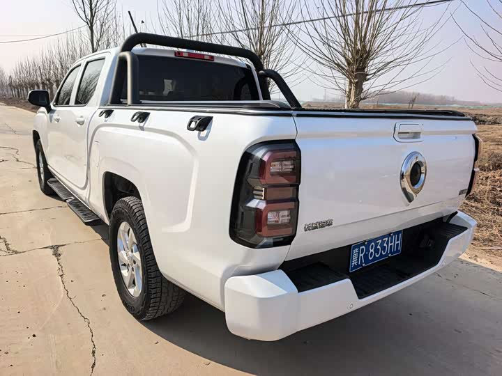 Фото 6 - Great Wall King Kong Poer