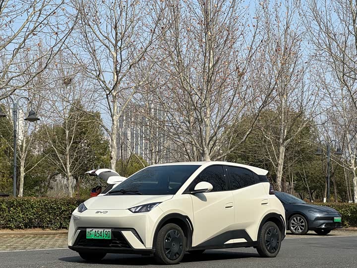 Фото 1 - BYD Seagull