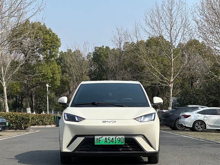 Фото 2 - BYD Seagull