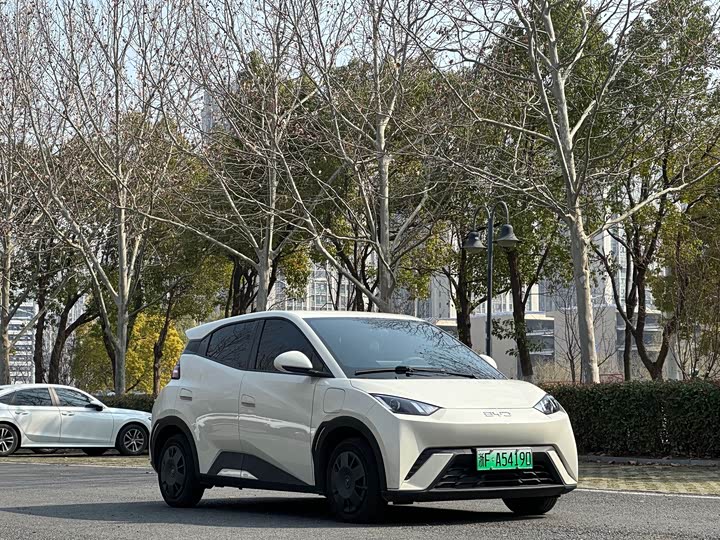 Фото 3 - BYD Seagull