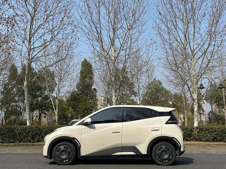 Фото 4 - BYD Seagull