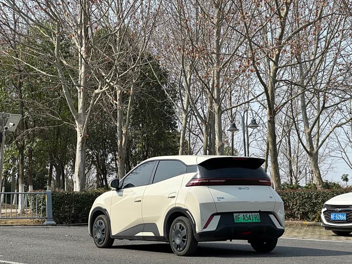 Фото 6 - BYD Seagull